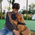 Treino de cachorros/Puppy training